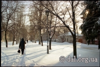 Липовая аллея улицы В.И. Даля. Липовая аллея улицы В.И. Даля.